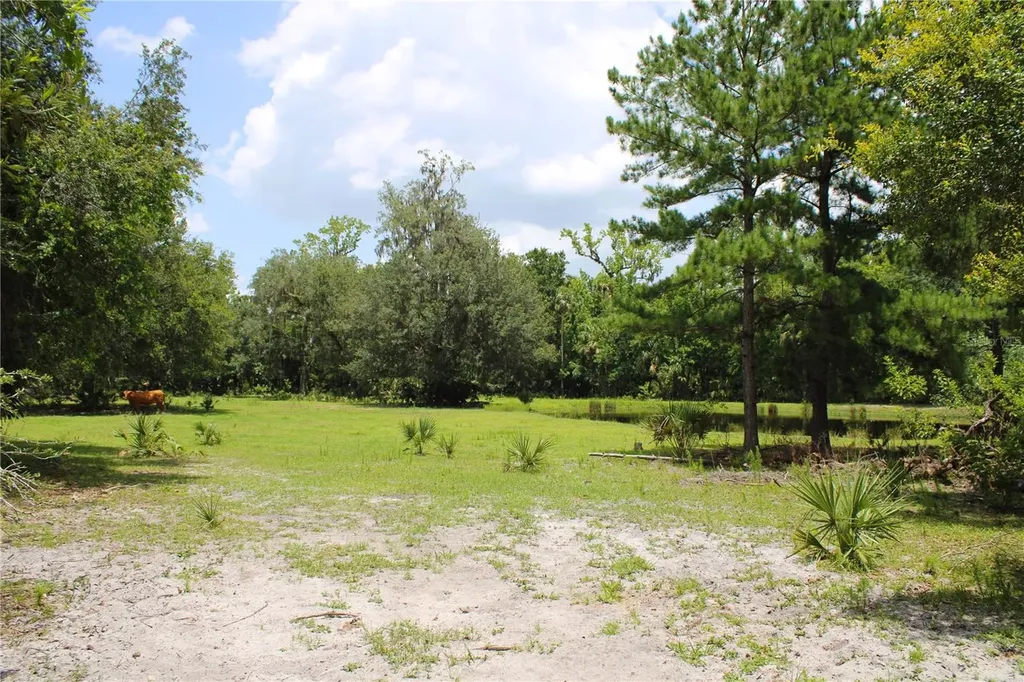 1676 Sunset Trail Geneva FL 32732