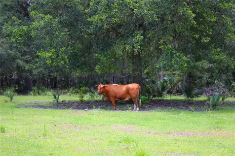 1676 Sunset Trail Geneva FL 32732