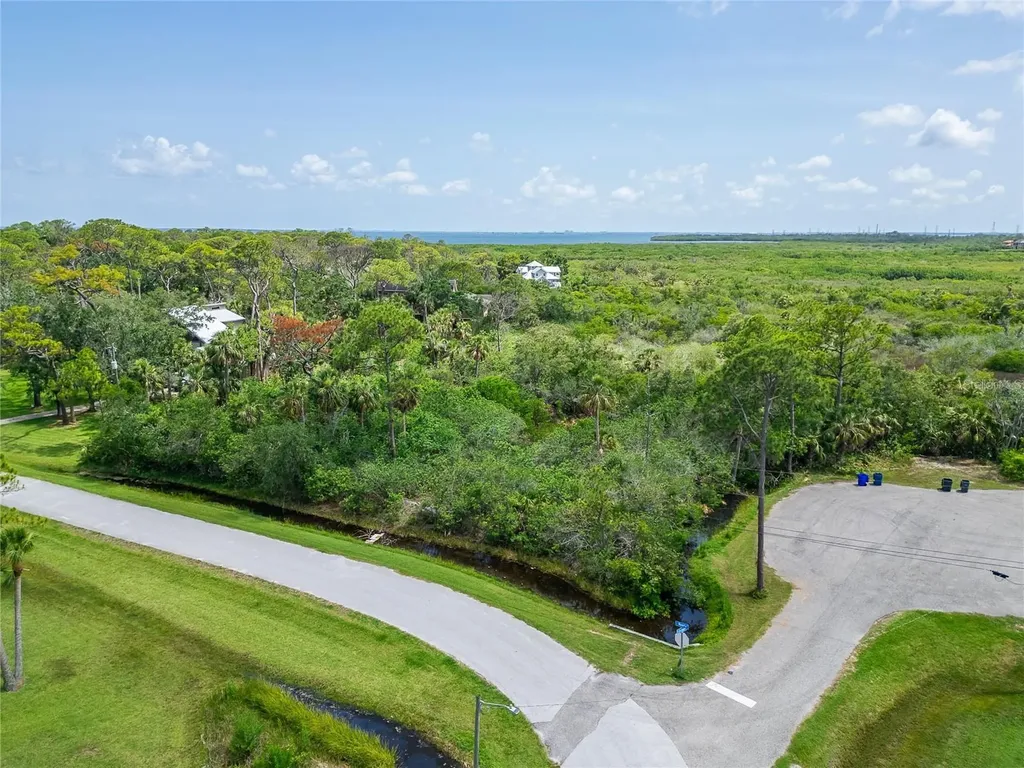 Strathmore Avenue Oldsmar FL 34677