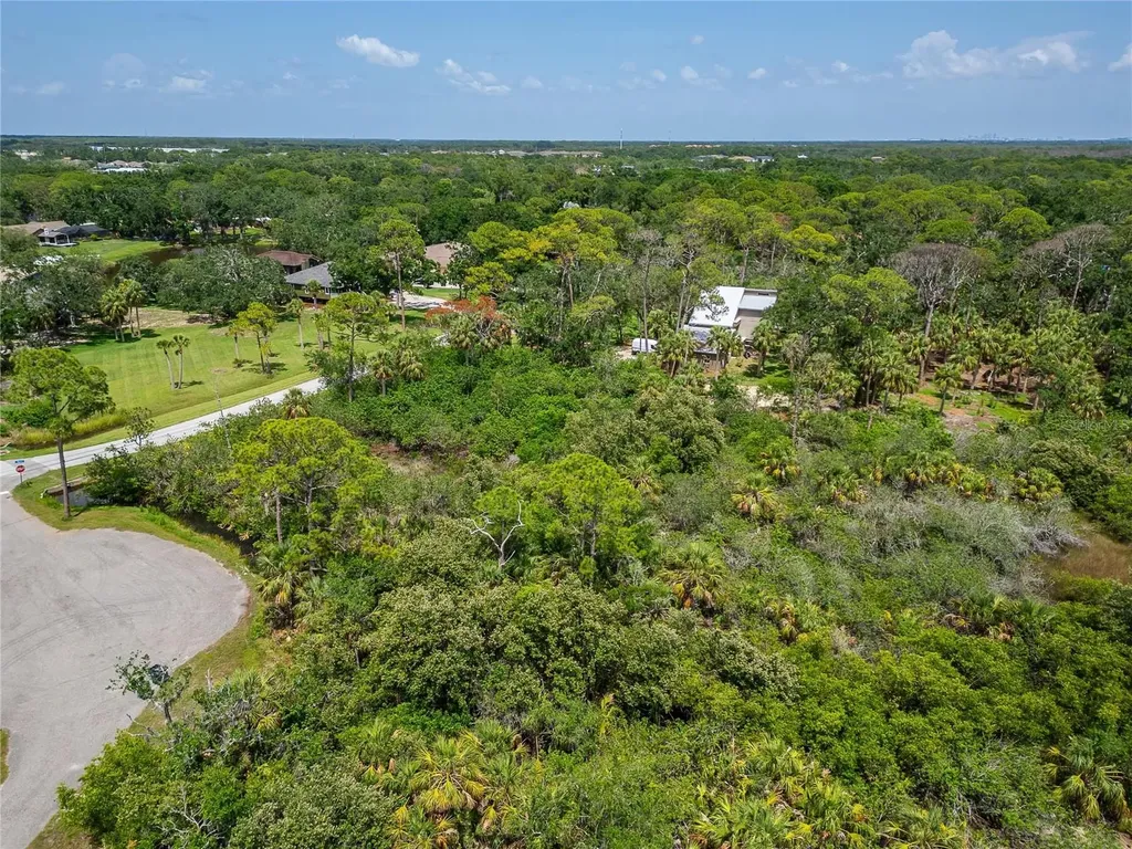 Strathmore Avenue Oldsmar FL 34677