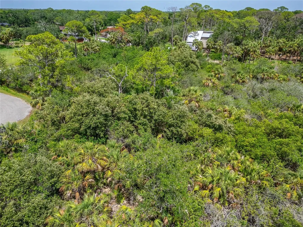 Strathmore Avenue Oldsmar FL 34677