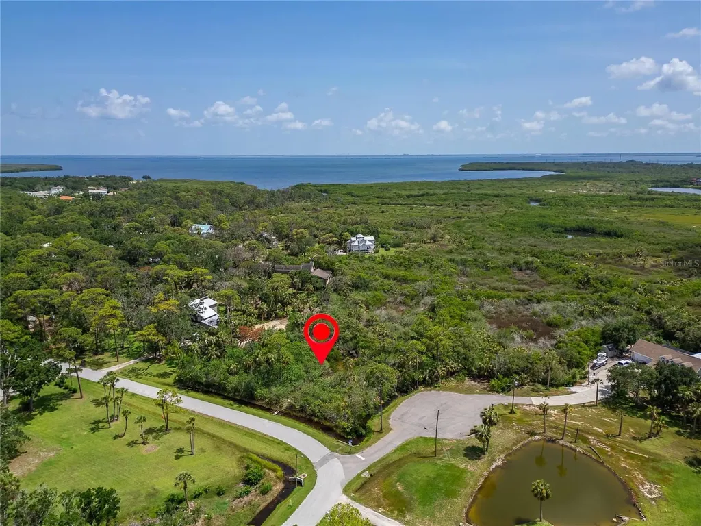 Strathmore Avenue Oldsmar FL 34677