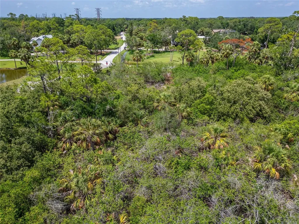 Strathmore Avenue Oldsmar FL 34677