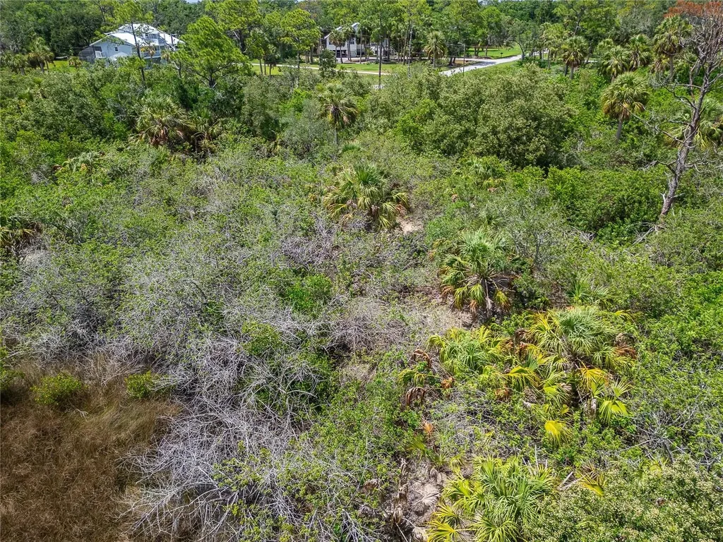 Strathmore Avenue Oldsmar FL 34677