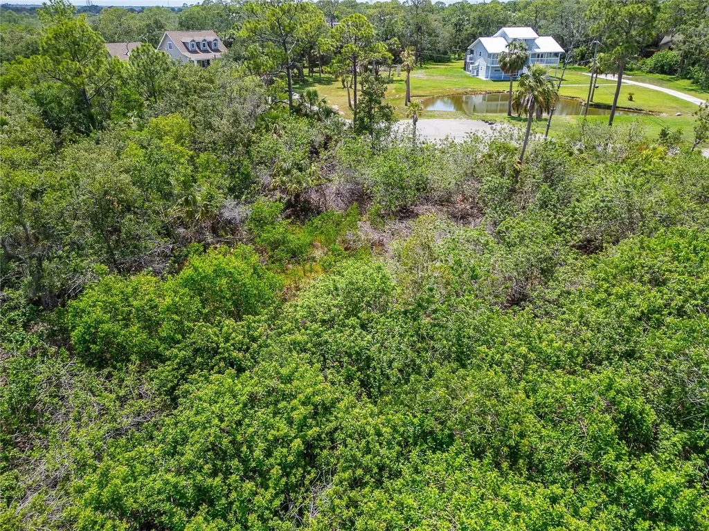 Strathmore Avenue Oldsmar FL 34677