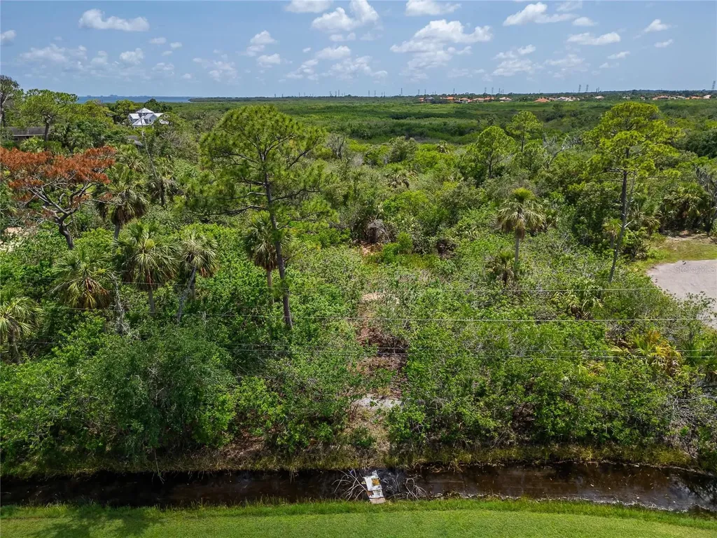 Strathmore Avenue Oldsmar FL 34677