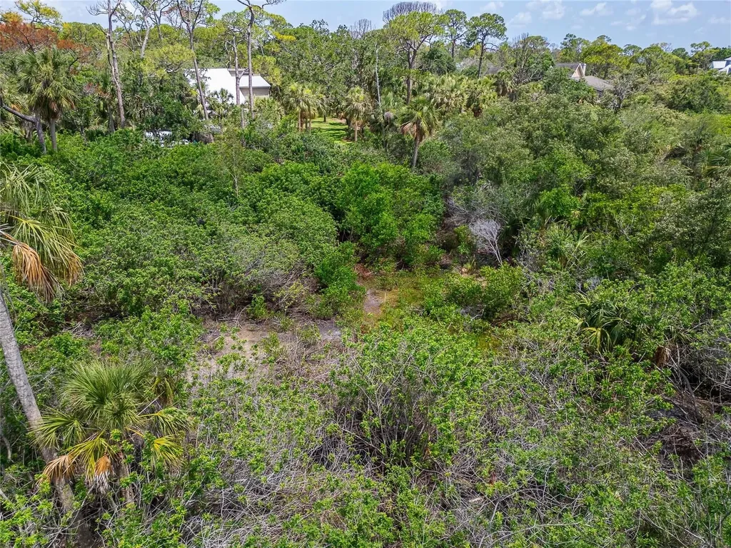 Strathmore Avenue Oldsmar FL 34677
