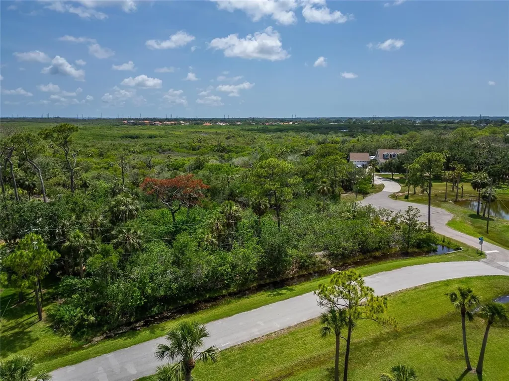 Strathmore Avenue Oldsmar FL 34677