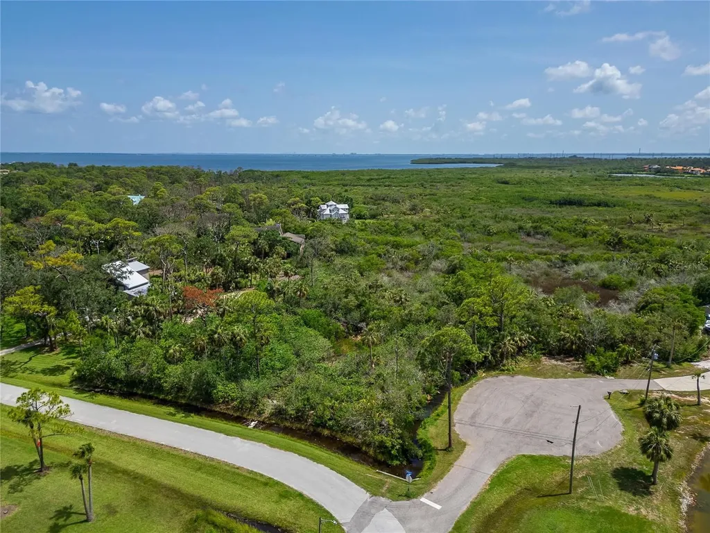 Strathmore Avenue Oldsmar FL 34677