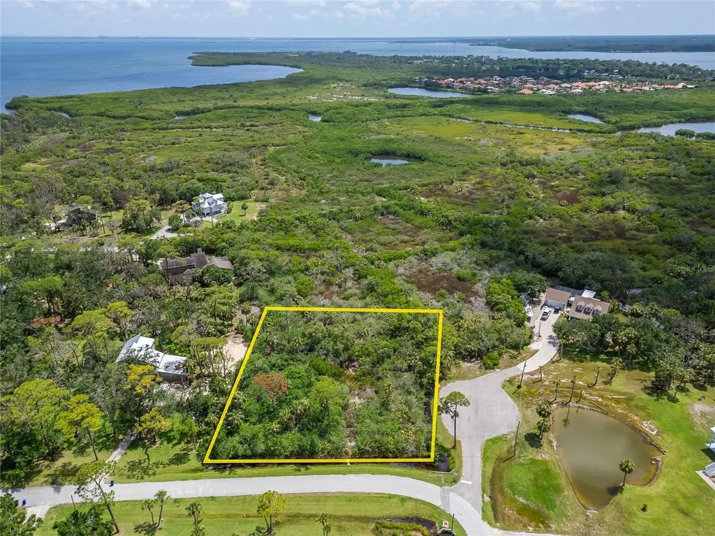 Strathmore Avenue Oldsmar FL 34677