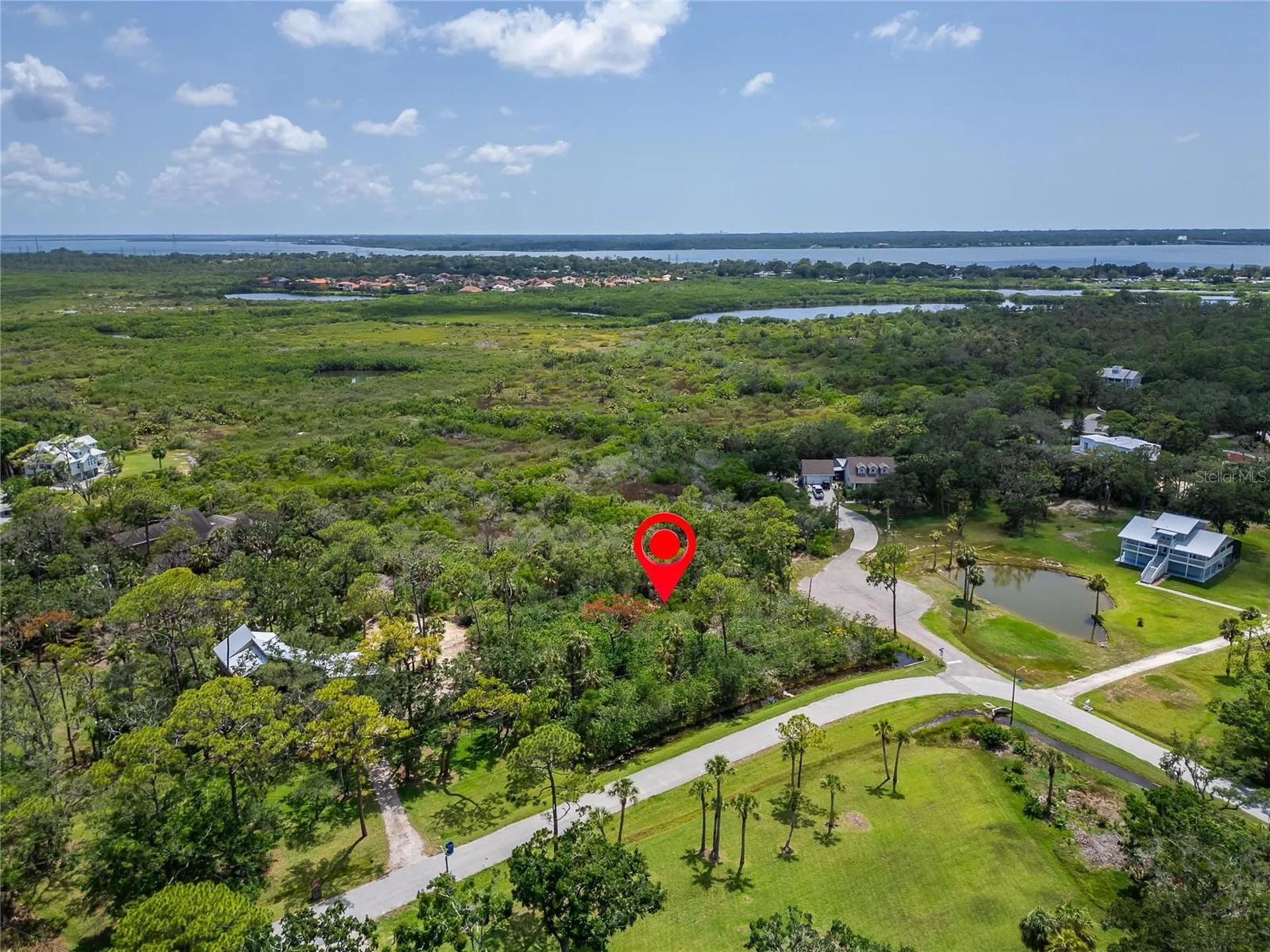 Strathmore Avenue Oldsmar FL 34677