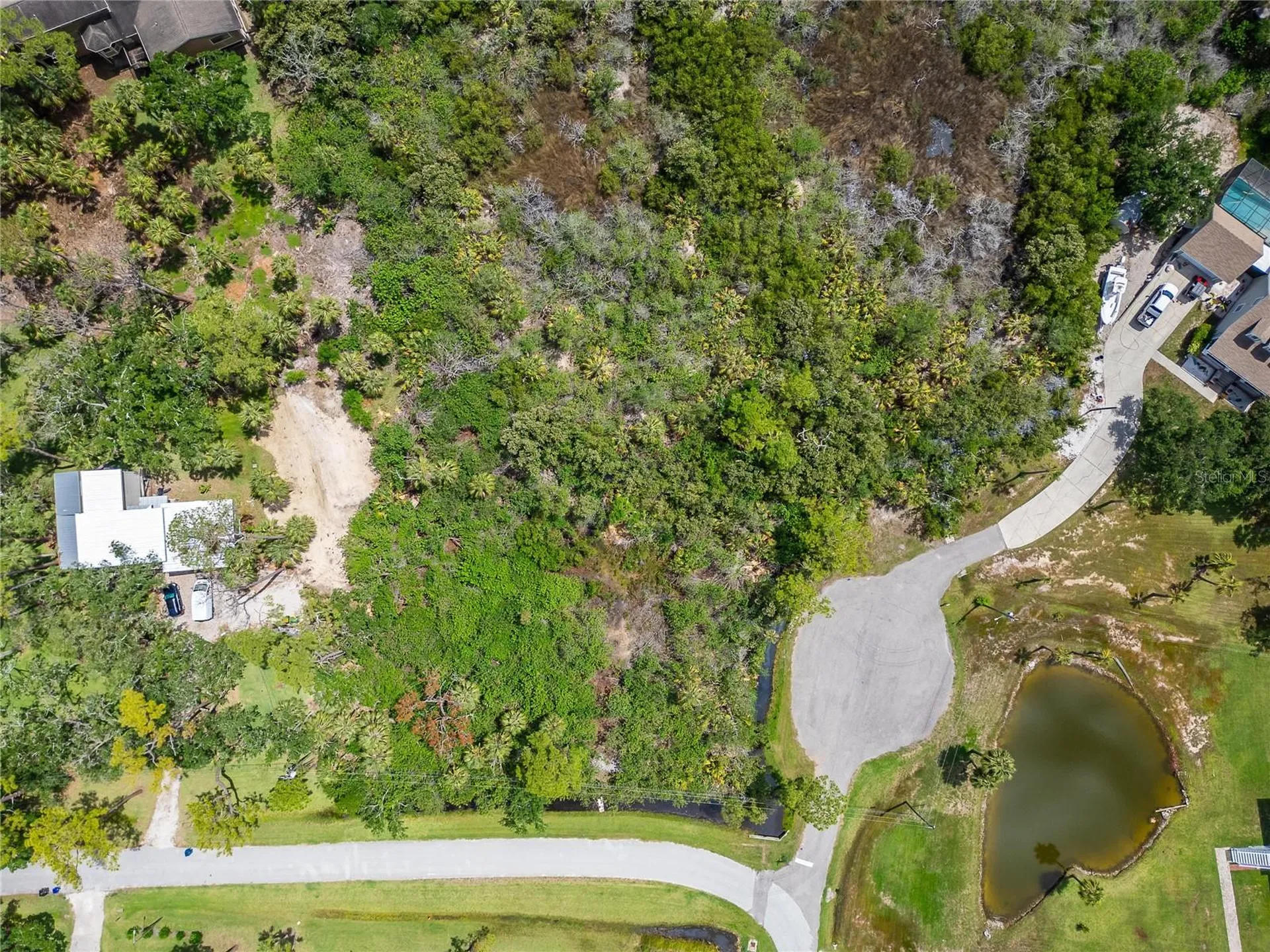 Strathmore Avenue Oldsmar FL 34677