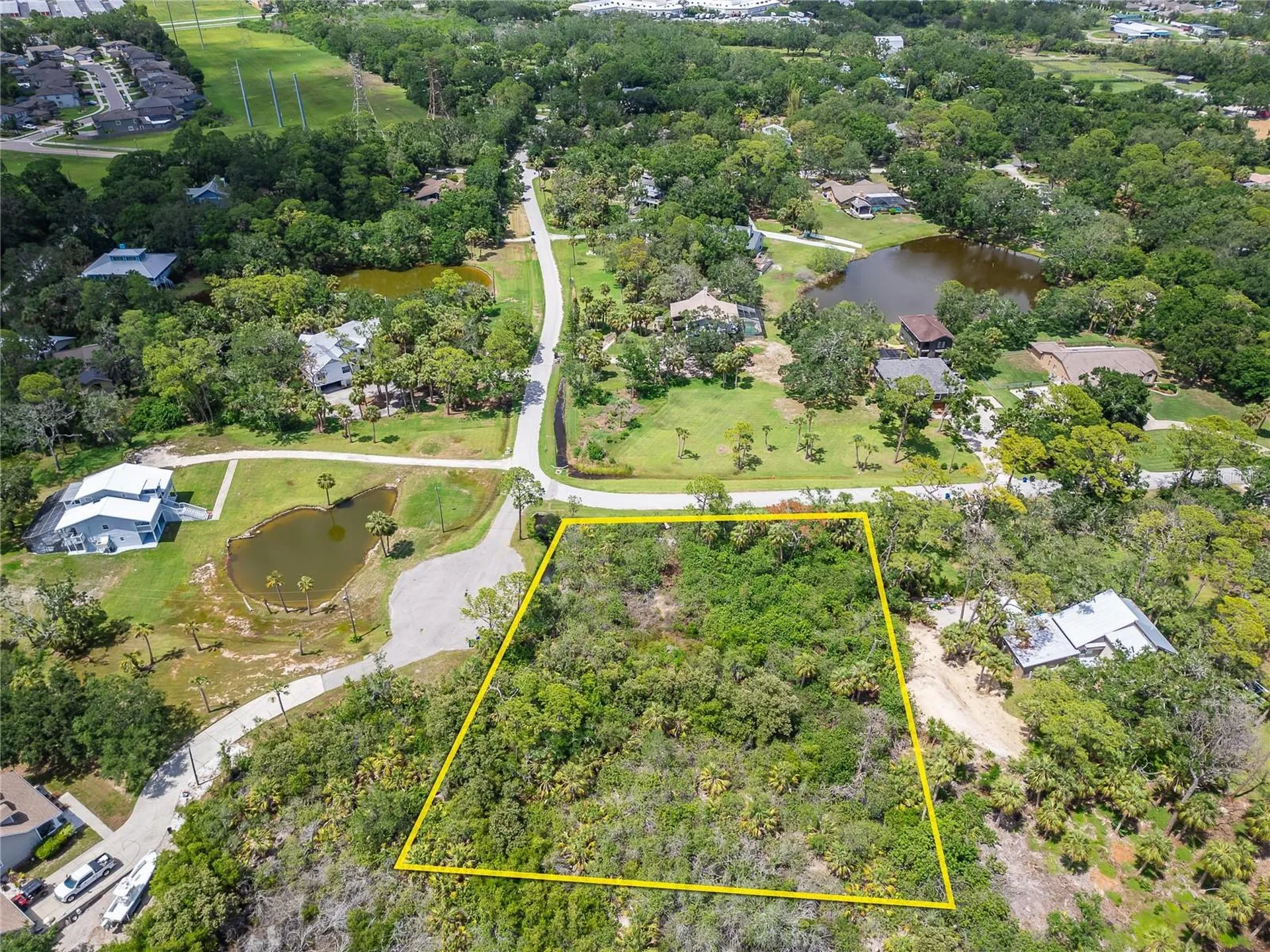 Strathmore Avenue Oldsmar FL 34677