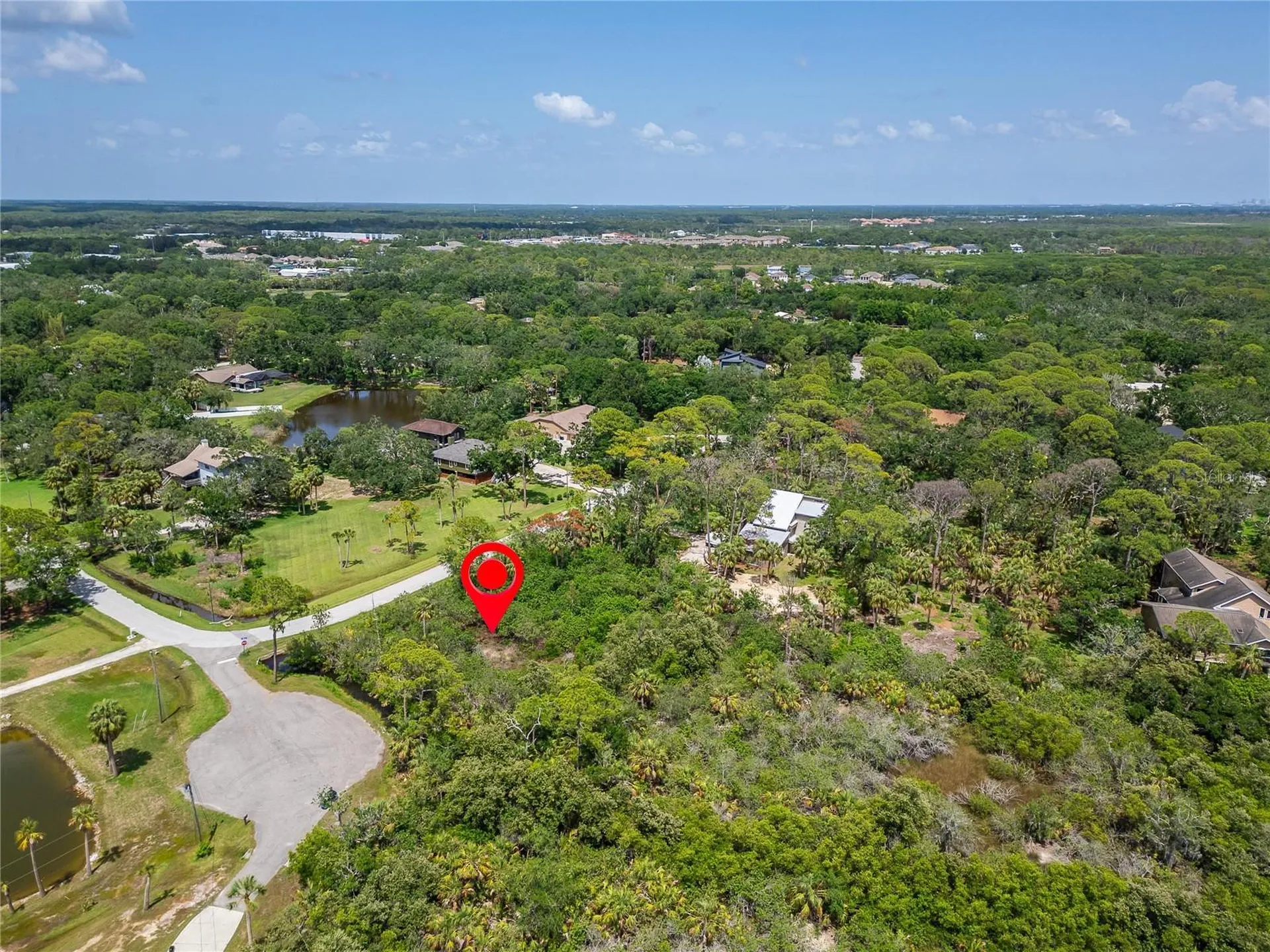 Strathmore Avenue Oldsmar FL 34677