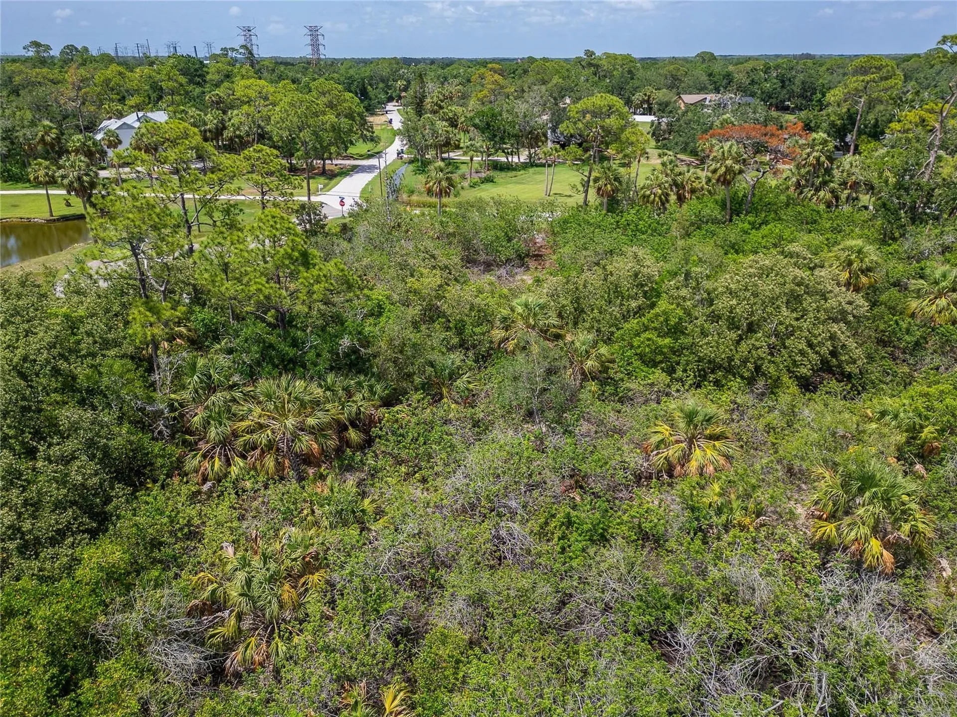 Strathmore Avenue Oldsmar FL 34677