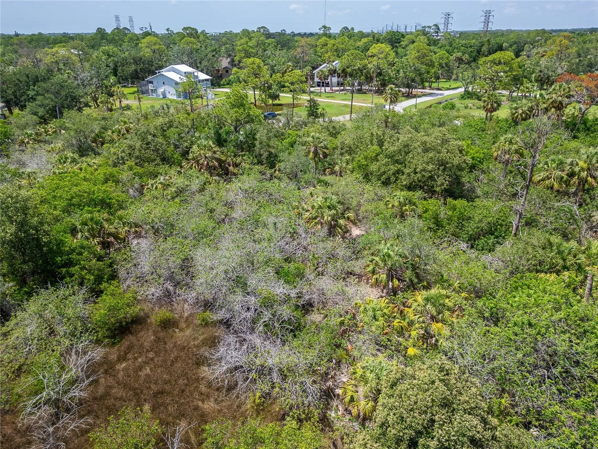 Strathmore Avenue Oldsmar FL 34677