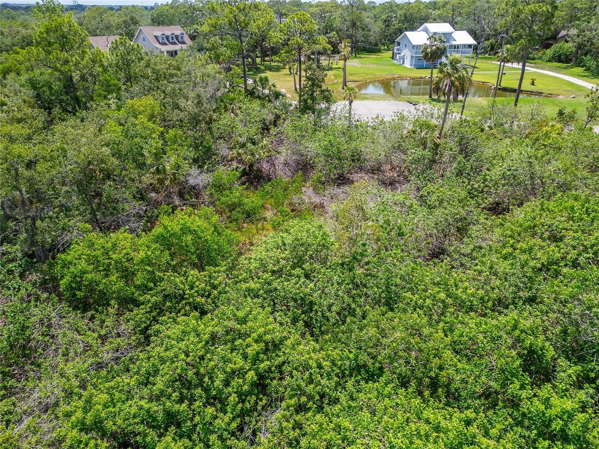 Strathmore Avenue Oldsmar FL 34677