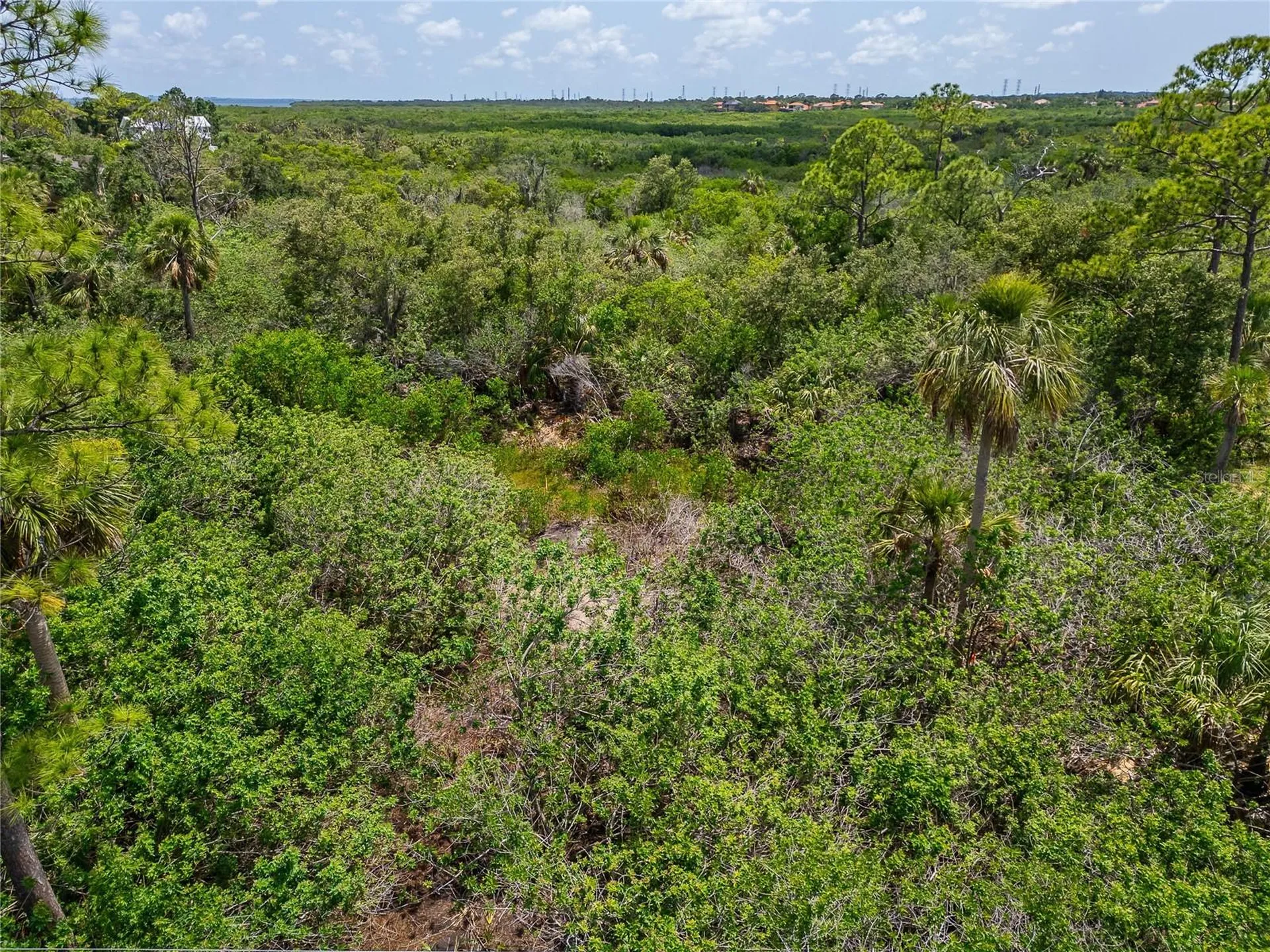 Strathmore Avenue Oldsmar FL 34677
