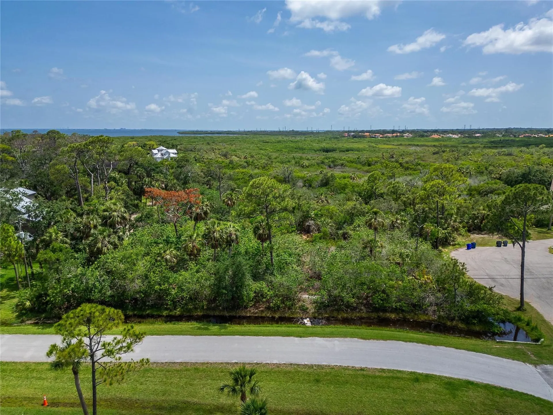 Strathmore Avenue Oldsmar FL 34677