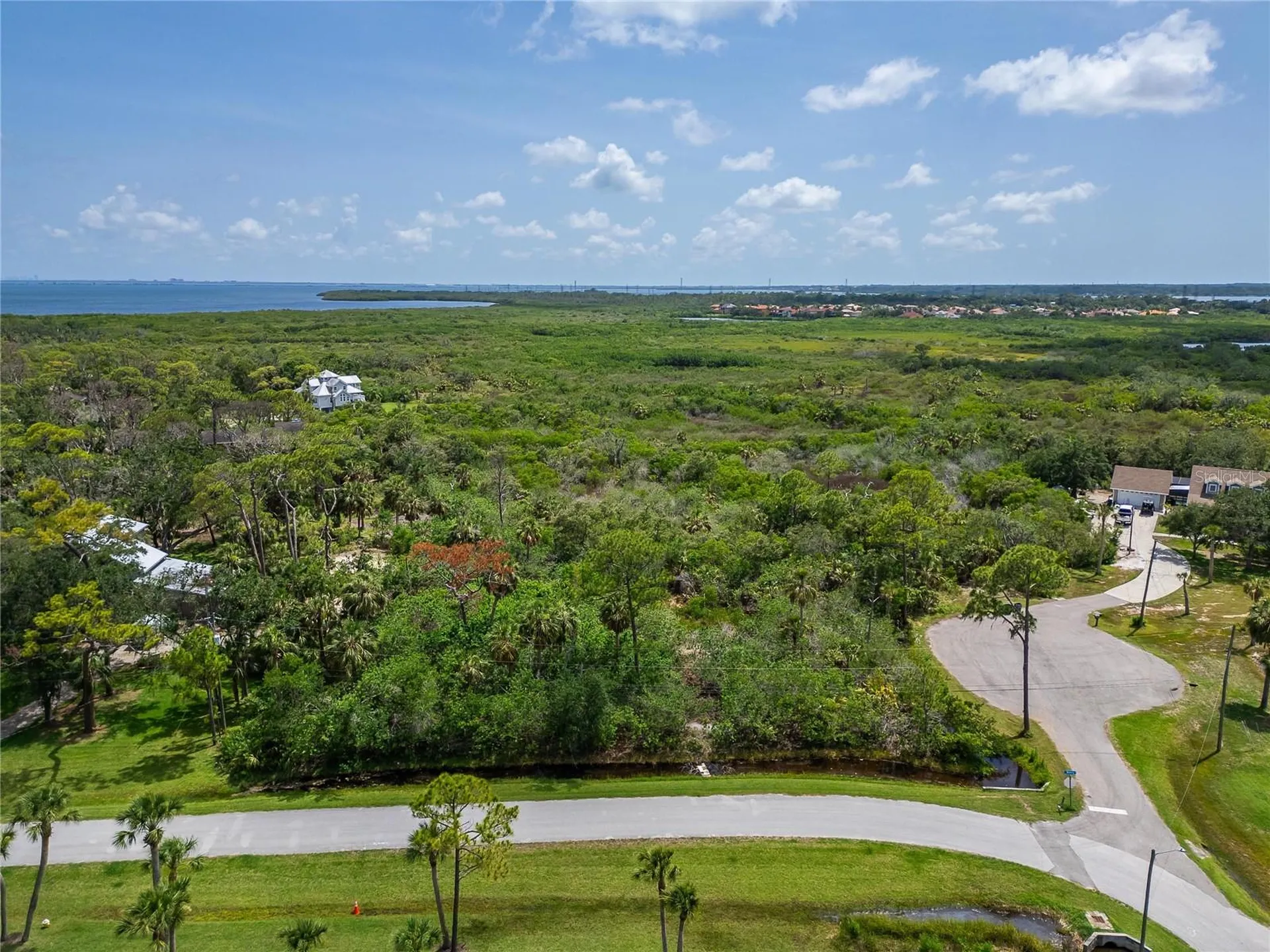 Strathmore Avenue Oldsmar FL 34677