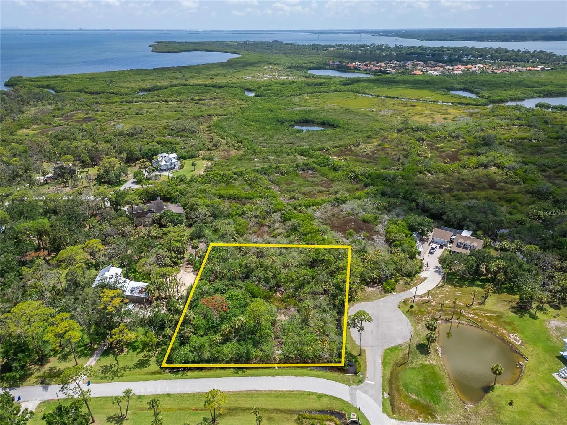 Strathmore Avenue Oldsmar FL 34677