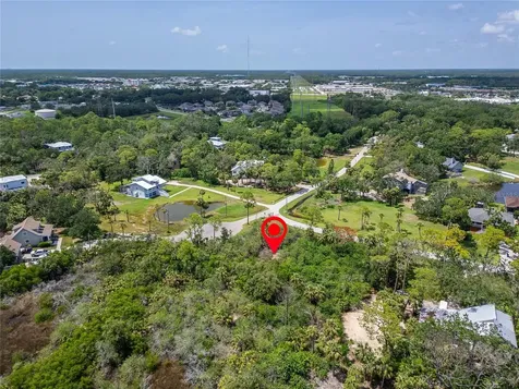Strathmore Avenue Oldsmar FL 34677