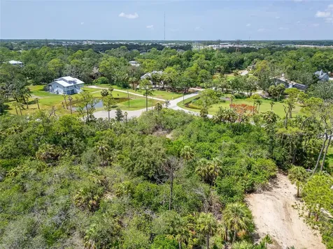 Strathmore Avenue Oldsmar FL 34677
