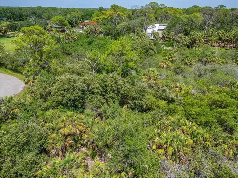 Strathmore Avenue Oldsmar FL 34677