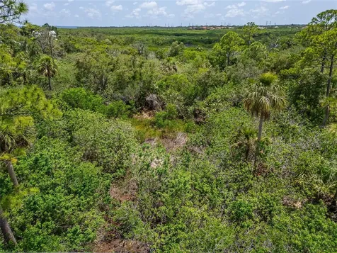 Strathmore Avenue Oldsmar FL 34677