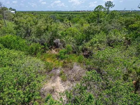 Strathmore Avenue Oldsmar FL 34677