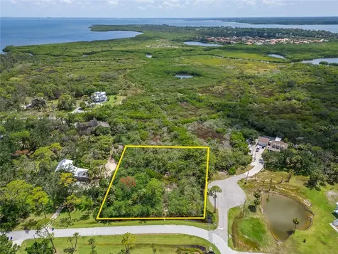Strathmore Avenue Oldsmar FL 34677