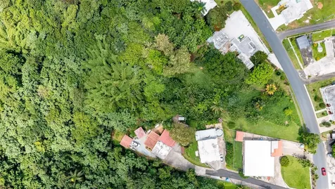 Cuchillas Ward State Road 618 Km1.6 Morovis PR 00687