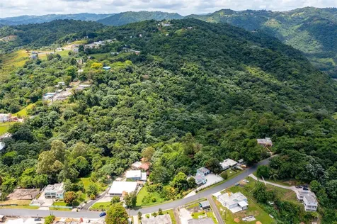 Cuchillas Ward State Road 618 Km1.6 Morovis PR 00687