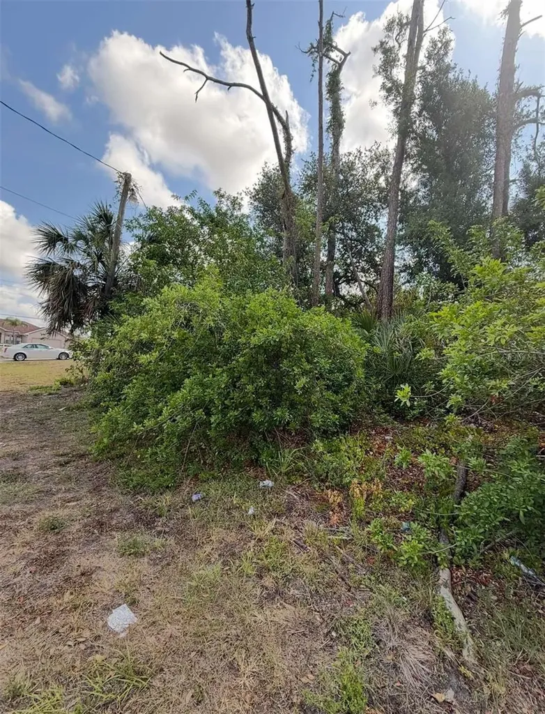 17285 Malta Avenue Port Charlotte FL 33954