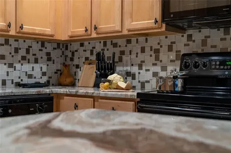2041 Lacie Jo Lane Kissimmee FL 34743