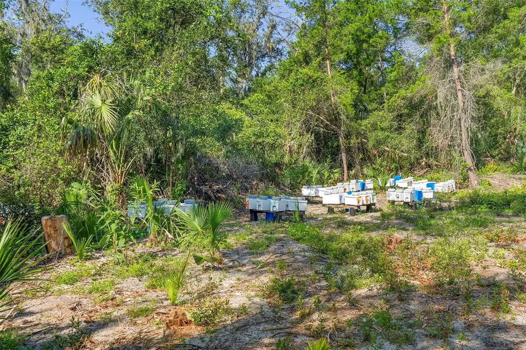 1835 S Glencoe Road New Smyrna Beach FL 32168