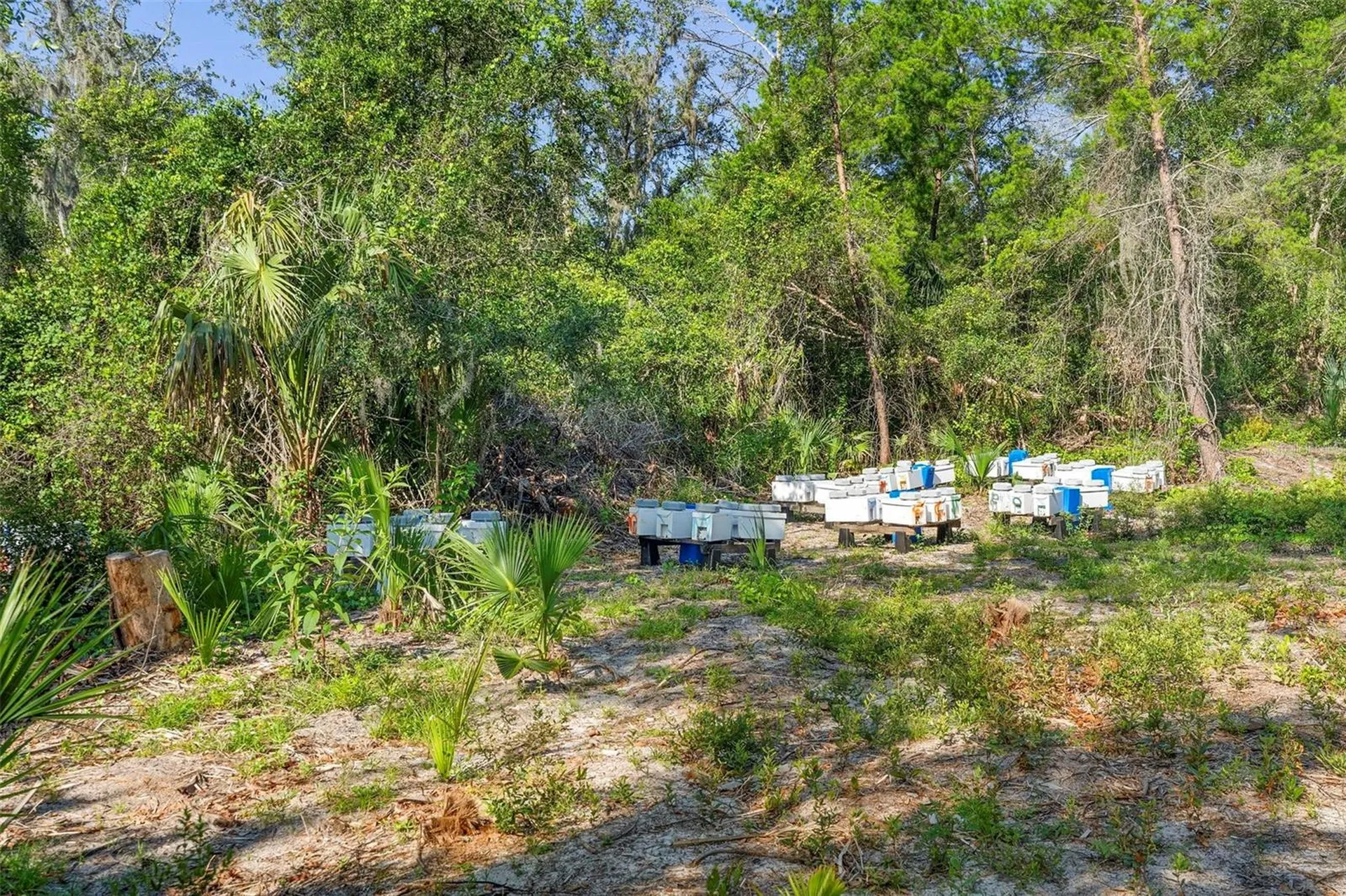 1835 S Glencoe Road New Smyrna Beach FL 32168