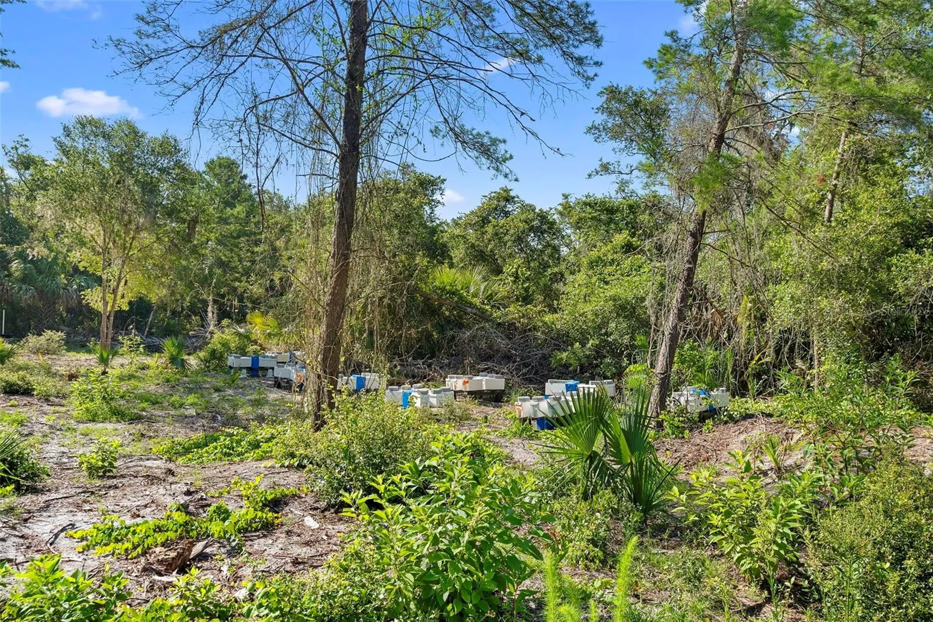 1835 S Glencoe Road New Smyrna Beach FL 32168