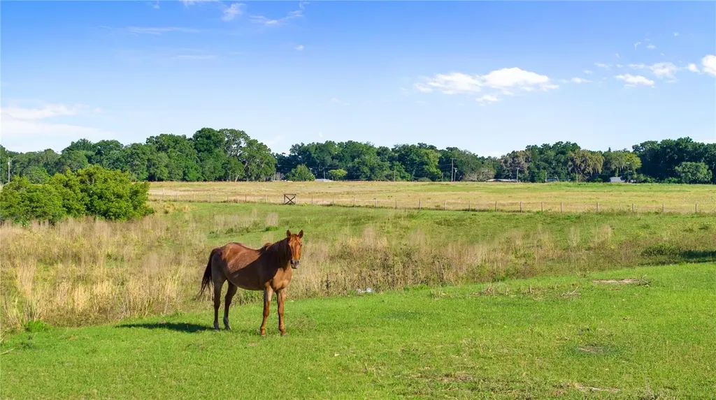 12230 Stonelake Ranch Boulevard Thonotosassa FL 33592
