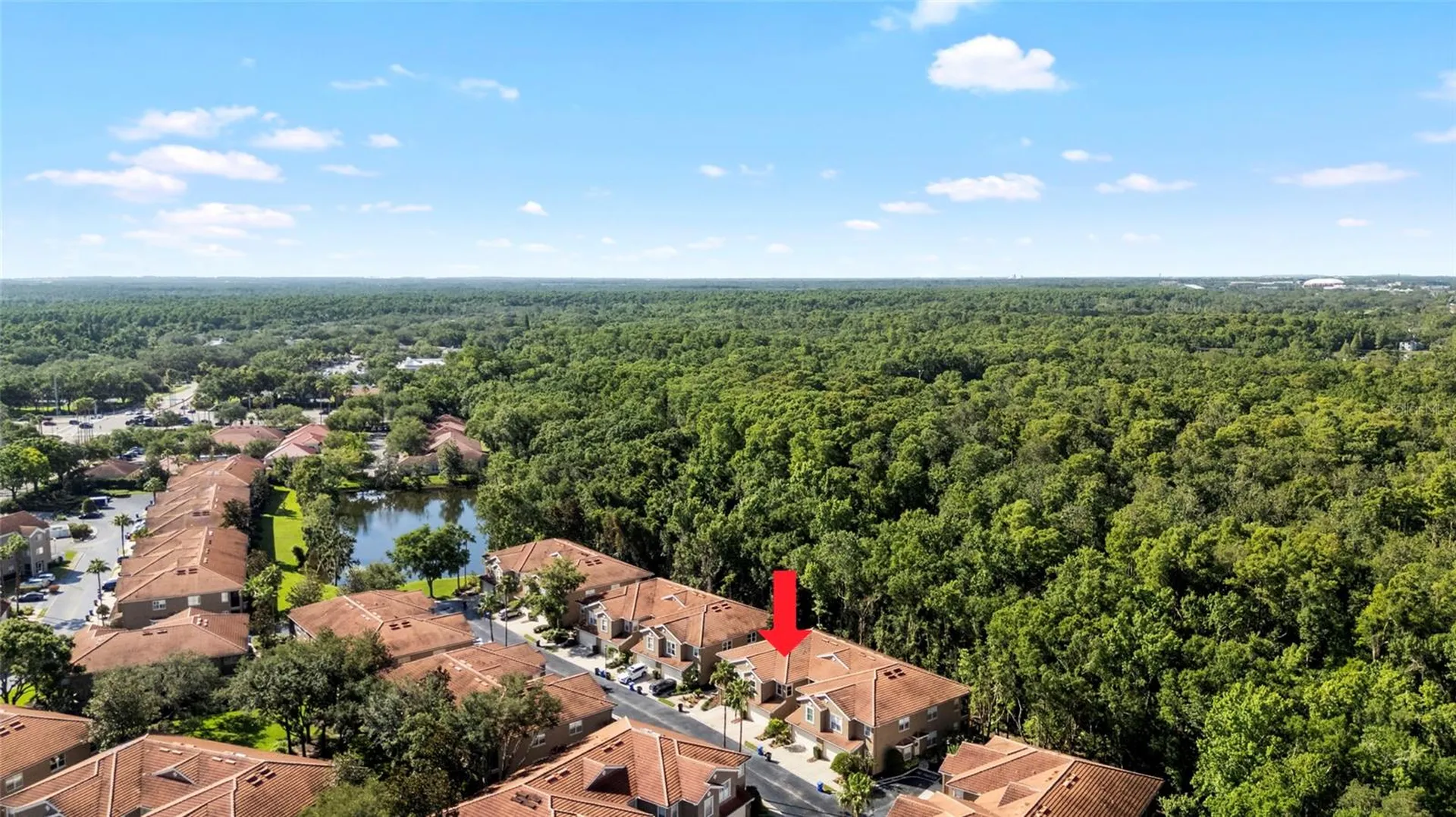 4920 Anniston Circle Tampa FL 33647
