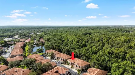 4920 Anniston Circle Tampa FL 33647