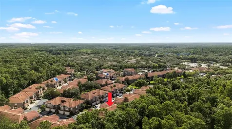 4920 Anniston Circle Tampa FL 33647
