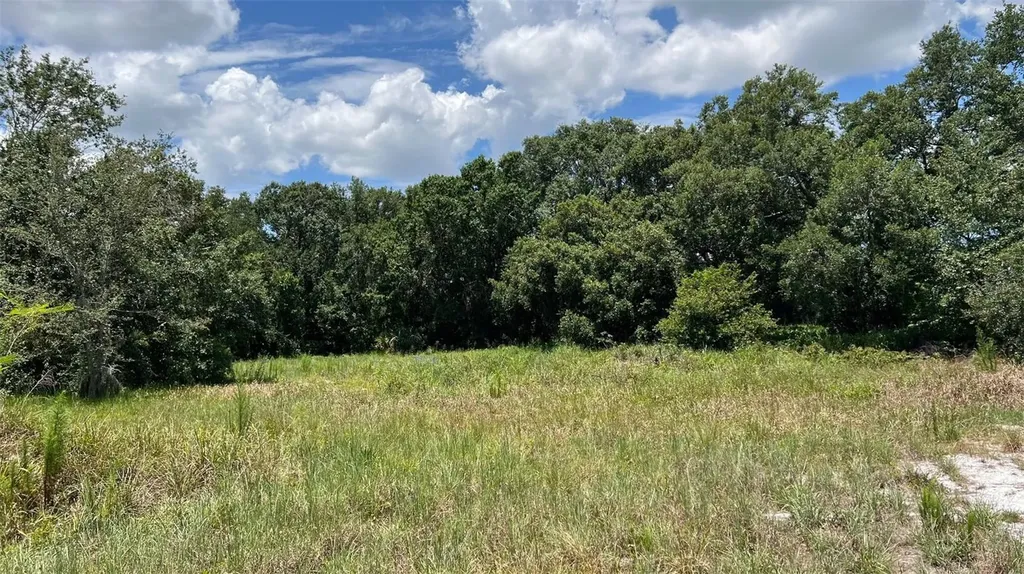 Abundant Life Drive Auburndale FL 33823
