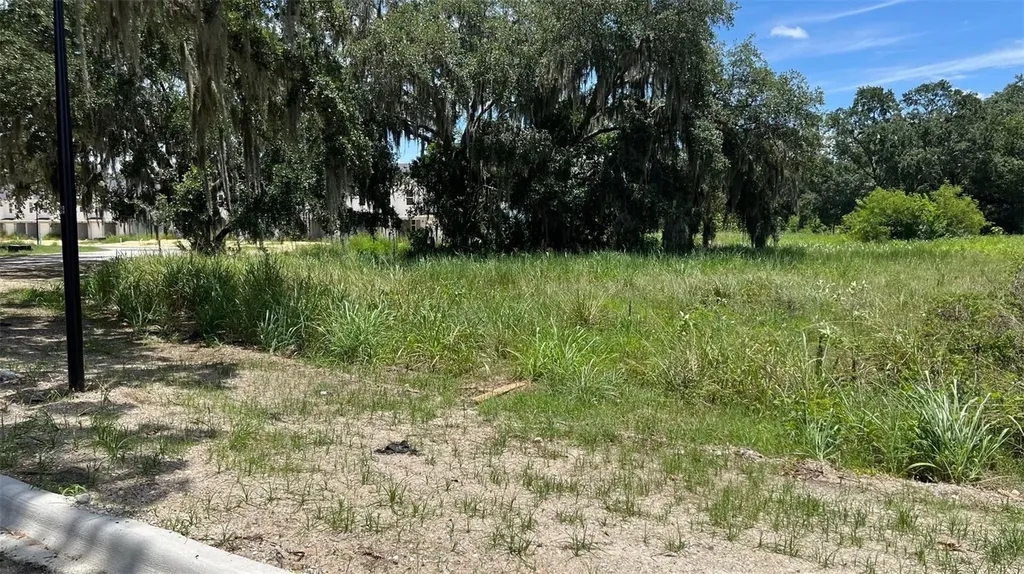 Abundant Life Drive Auburndale FL 33823
