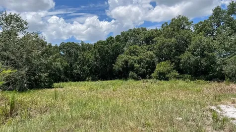 Abundant Life Drive Auburndale FL 33823