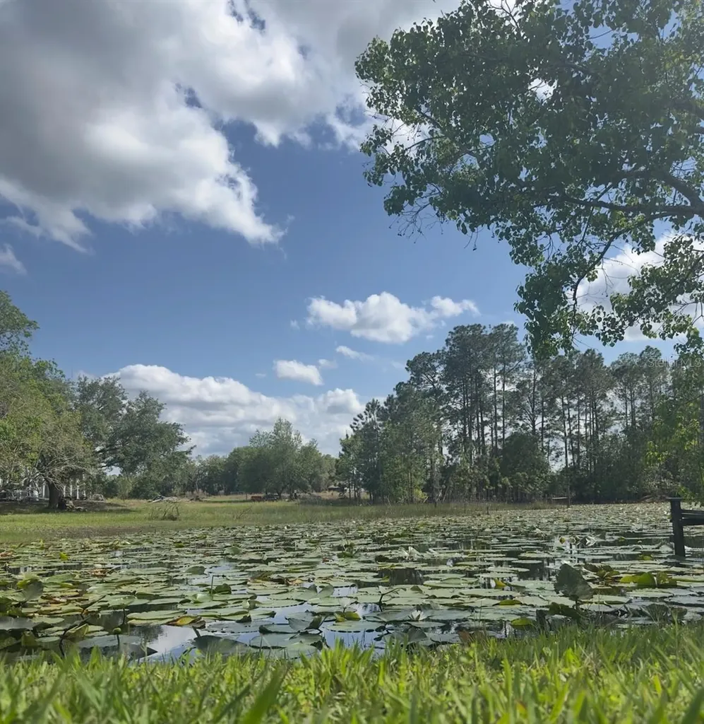 44645 Misty Isle Drive Deland FL 32720