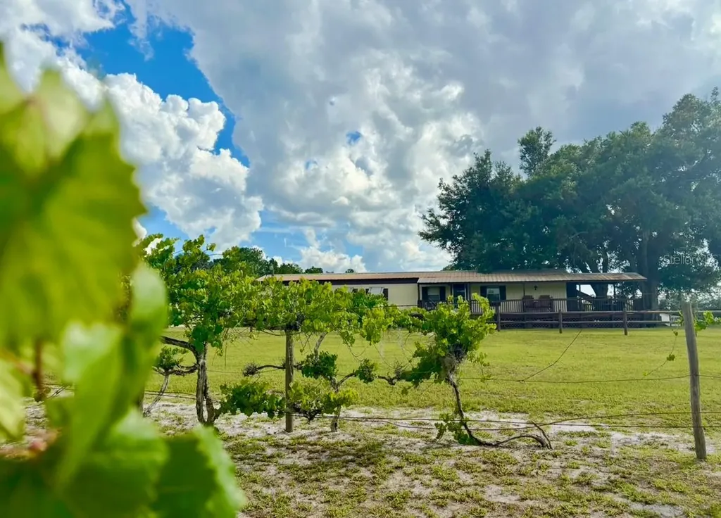 44645 Misty Isle Drive Deland FL 32720