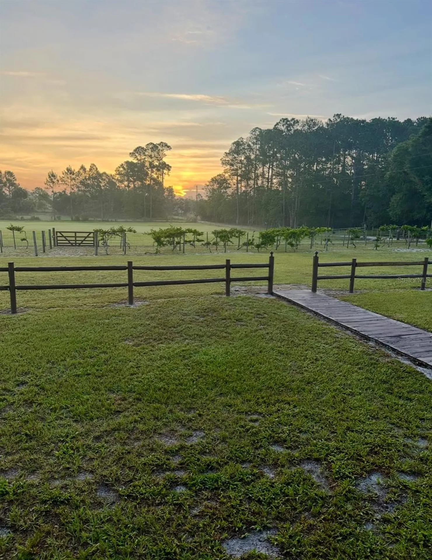 44645 Misty Isle Drive Deland FL 32720