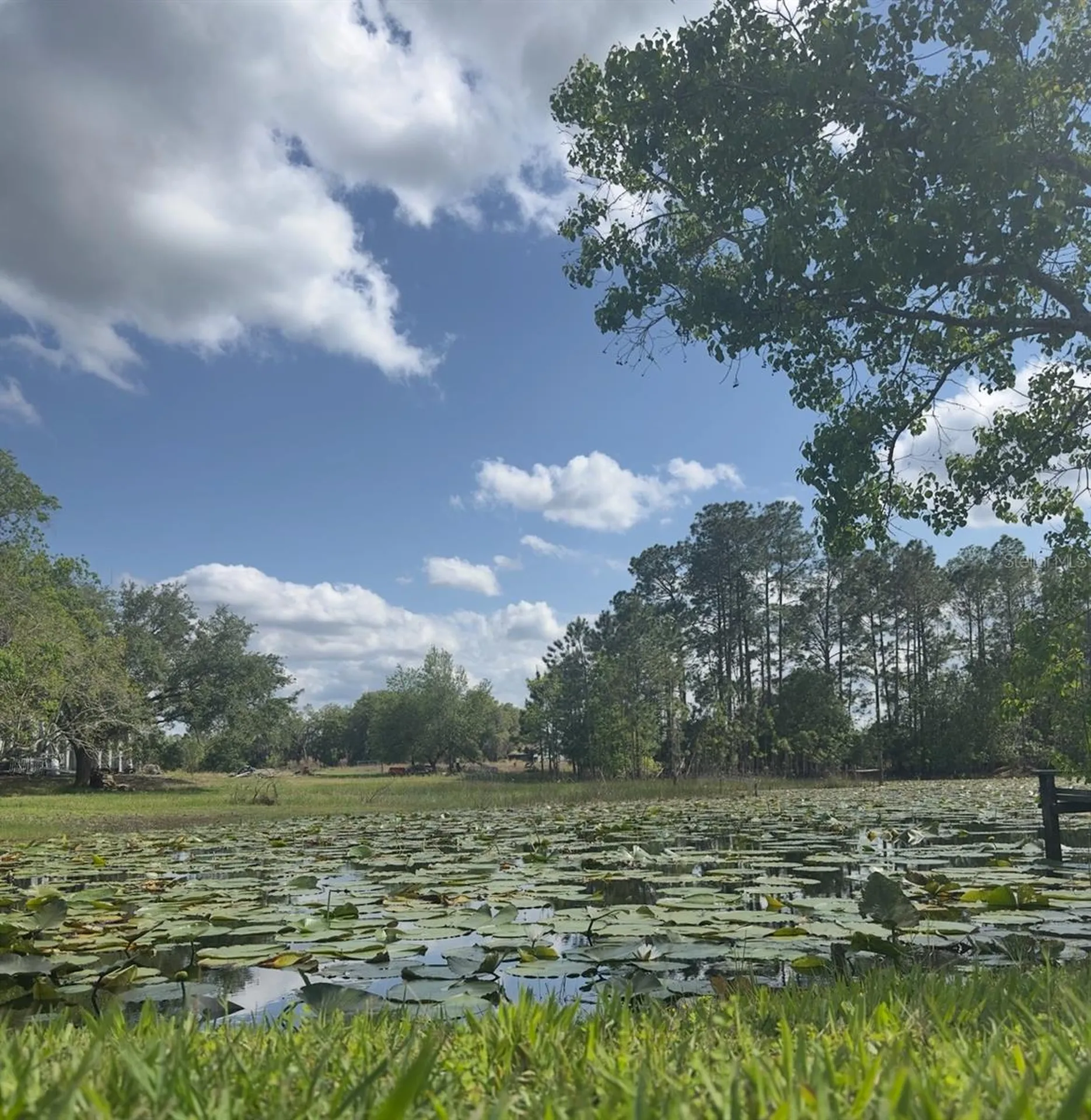44645 Misty Isle Drive Deland FL 32720