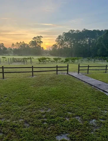 44645 Misty Isle Drive Deland FL 32720